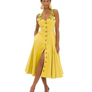 Brand new dress, still fully priced on website